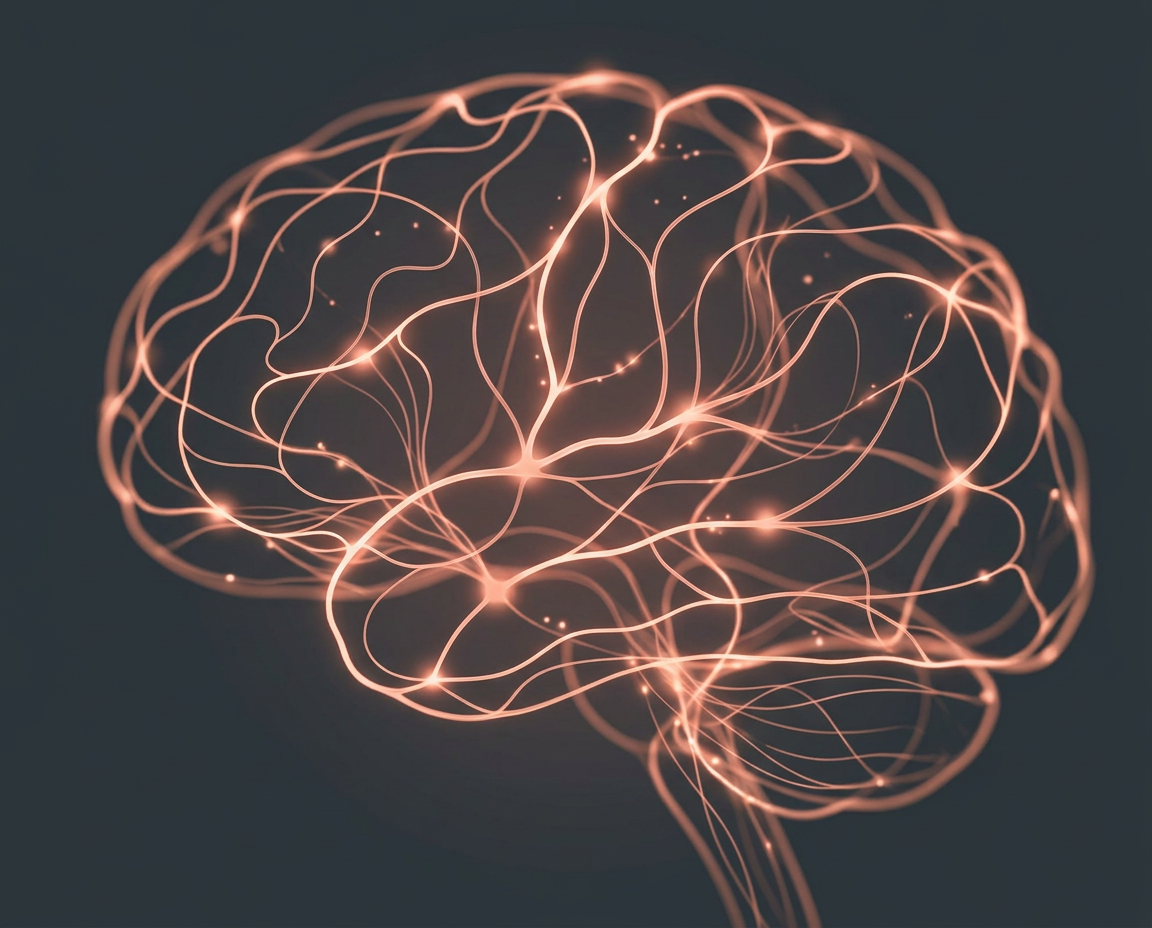 Illustration of neural pathways in the brain