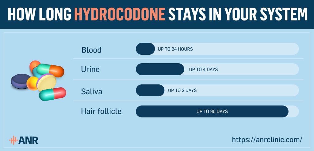 How Long Does Hydrocodone Stay in Your System? - ANR Clinic