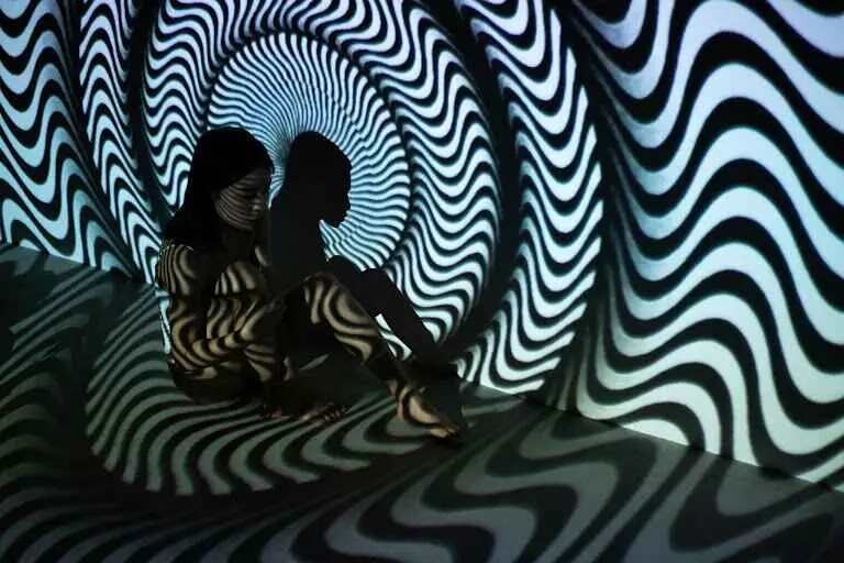 What Are Hallucinations?