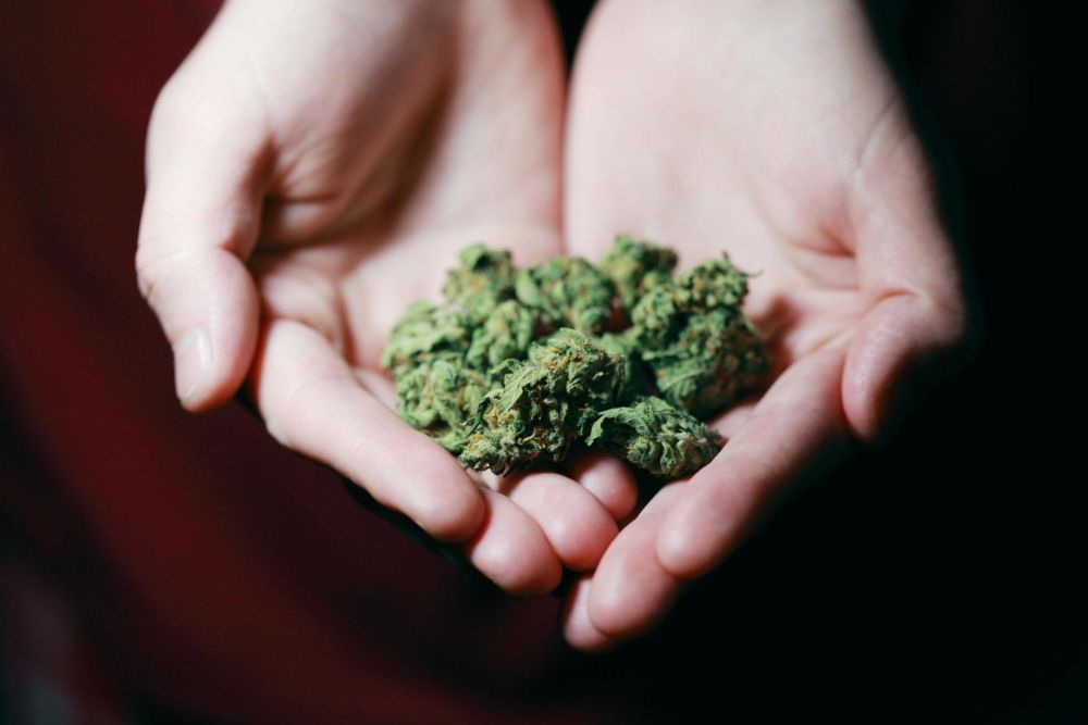 How Does Marijuana Interact With the Brain?