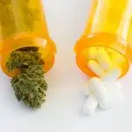 marijuana and opioids