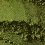 does kratom get you high